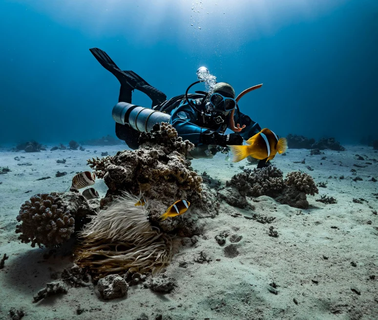 Understanding Dive Certifications: Which One Is Right for You?