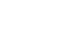 Dive instructor supervision icon