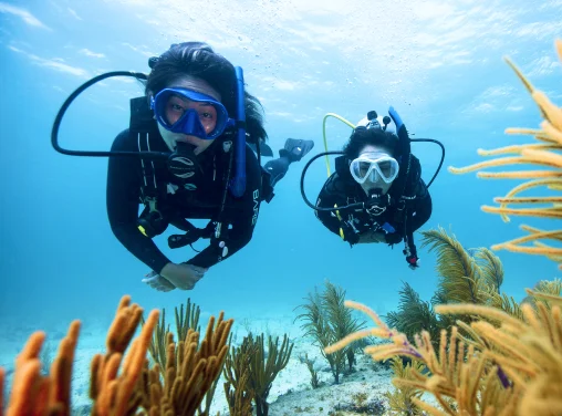 PADI Courses
