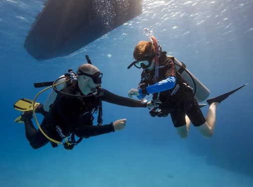 Professional level courses