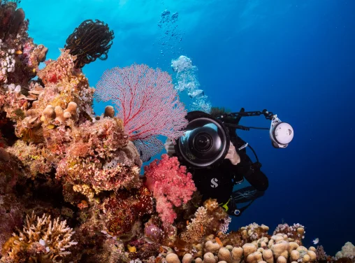 Specialty Diver Courses